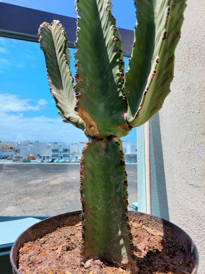 Deep Blue Cotillo III By Sea You There Fuerteventura Exterior foto